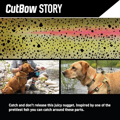 Wolfgang Heavy Duty, Adjustable Dog Collar with Quick Release Nylon Buckle for Walking & Training, CutBow Print, Small - color: CutBow Print, size: Small (5/8 Inch x 8-12 Inch)