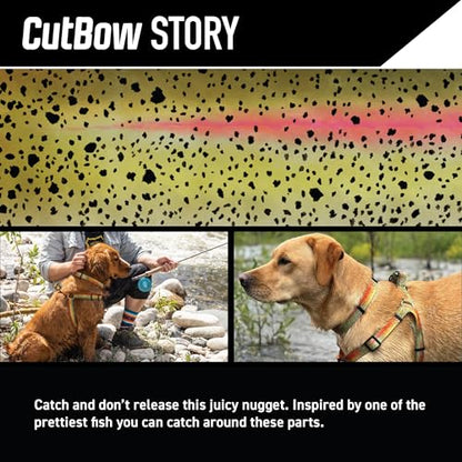 Wolfgang Heavy Duty, Adjustable Dog Collar with Quick Release Nylon Buckle for Walking & Training, CutBow Print, Small - color: CutBow Print, size: Small (5/8 Inch x 8-12 Inch)
