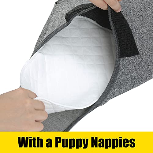 HEYWEAN Full Body Dog Diaper with a Puppy Nappies Physiological Dog Surgery Recovery Suit for Male Female Dogs - color: Grey, size: XX-Small