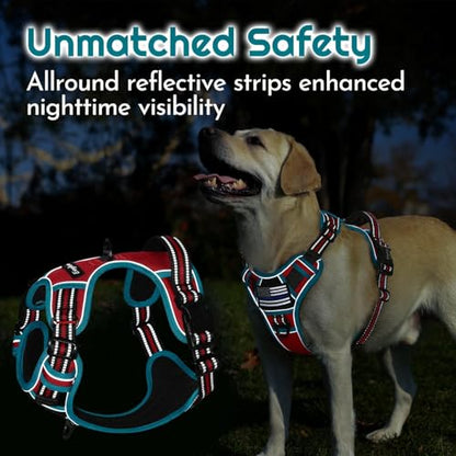Eagloo Dog Harness Small Sized, Easy Wearing with 3 Buckles, Adjustable No Pull Pet Harness with 2 Rings for Walking, No Chock Reflective Soft Padded Vest with Control Handle, Red & Teal, S - color: Red & Teal, size: Small