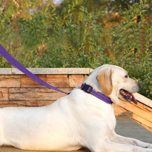 Dog Leash 6 FT Padded Handle Nylon Reflective Dogs Leashes for Small Dogs Puppy Leashes Purple - color: Refl Purple, size: Small : 5/8" x 6 FT