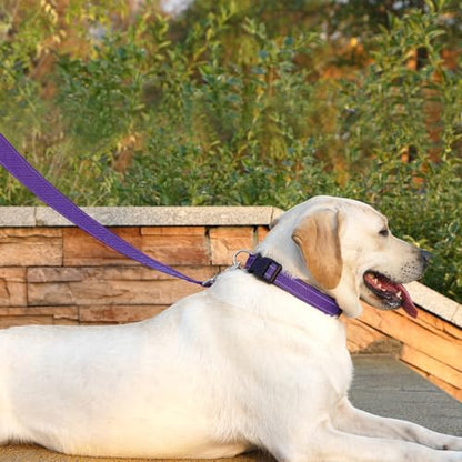 Dog Leash 6 FT Padded Handle Nylon Reflective Dogs Leashes for Small Dogs Puppy Leashes Purple - color: Refl Purple, size: Small : 5/8" x 6 FT