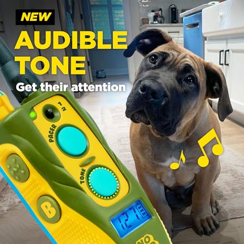 Dogtra E-Collar Tom Davis 280C 2.0 [2025 Edition], Boost & Lock, Waterproof, 1/2-Mile Range Dog Training Collar with Remote, Rechargeable, 127 Levels, Vibration, Bungee, No Bad Dogs Trainers - color: Tom Davis 280C 2.0