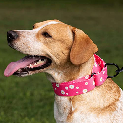 CollarDirect Martingale Dog Collar Heavy Duty Nylon Slip Collars for Small Medium Large Dogs [Nylon, Patterned, Toffee, L, 15"-20"] - color: Toffee, size: Large (Neck Size 15"-20")