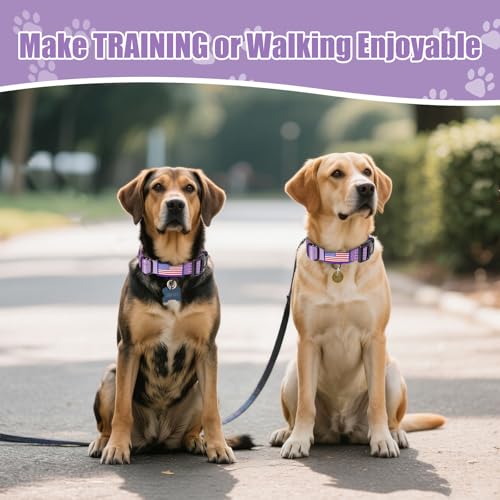 Martingale Dog Collar, Reflective No Pull Training Collar with Quick Release Buckle, Adjustable Heavy Duty Nylon Choker Collars for S M L Dogs (Lavender with Flag, L (1" x 19"-26")) - color: Lavender with Flag, size: L (1" x 19"-26")