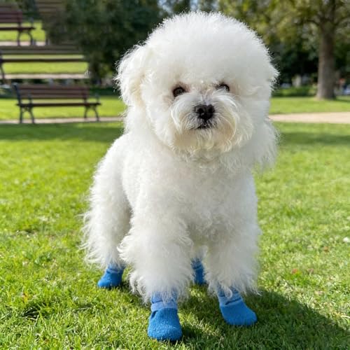 4pcs Nonslip Pet Shoes Waterproofed and Wear for Dog Various Weather Protecting Easyly Waterproofed Dog Shoes - color: Red, size: L