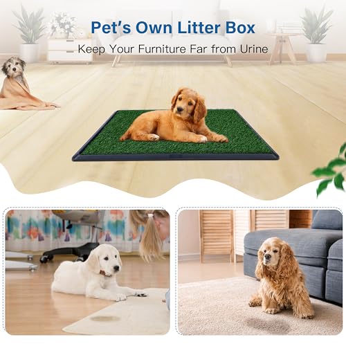 FluffyDream Artificial Grass for Dog Potty – 20x25 inch,Strong Absorbency Grass Pad, Dog Grass Pad with Tray, Dog Potty Training Pad, Dog Litter Box with Grass (20""x30"" X2), Green - size: 20"x30" X2