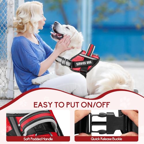 Service Dog Vest Harness and Leash Set, Animire in Training Dog Harness with 10 Dog Patches, Reflective Dog Leash with Soft Padded Handle for Small, Medium, Large, and Extra-Large Dogs (RED,XS) - color: Red, size: XS