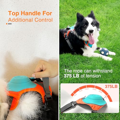 Dog Harness with Retractable Leash 51.2”,2-in-1 Large & Medium Dog Harness Vest with Built-in Auto-Stop Leash, 370 LB of Pull Adjustable Dog Walking Harness-XL, Hand Free Dog Leash Harness Set - size: XL(Neck20.7-31" Chest32-42")