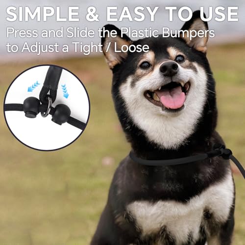 QQPETS Adjustable Slip Lead Dog Leash, Hands Free Waist Leash for Dog Walking, Reflective Training Lead with 360° Swivel Anti-Tangle, 4-7 ft Length for All Breeds - color: White Daisy