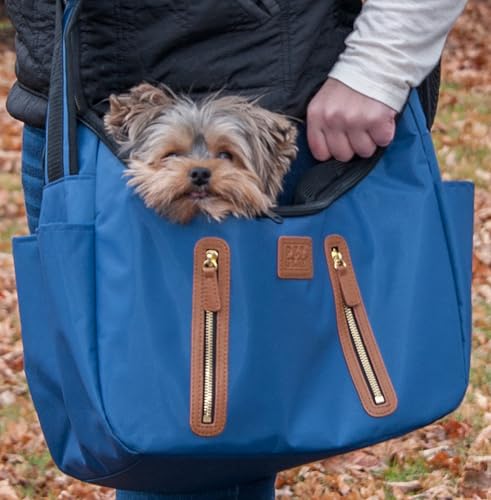 Pet Gear Carrier and Car Seat, Caribbean Blue | For Small Dogs & Cats - color: Caribbean Blue