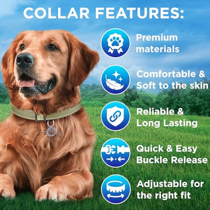 TECEUM Reflective Dog Collar – Olive – XS – Extra Soft Padding – Basic Nylon Pet Collar – Quick Release Buckle – Fits Small, Medium and Large Dogs, Puppies, Cats – ESA & Service Dog Options - color: Olive, size: X-Small