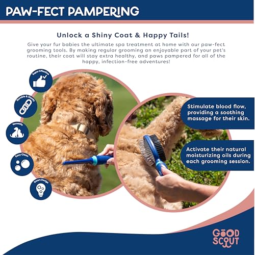 Good Scout 2-Piece Deshedding Tool Set with Comb & Soft Bristle Brush, Best Deshedding Tool for Dogs & Cats, Gentle, Safe & Effective Grooming Tool for Short or Long Haired Animals - style: Comb & Bristle Brush