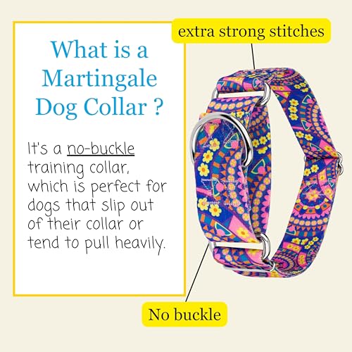 Country Brook Petz - HossFit Jr Wide Martingale Dog Collar - Groovy Collection Featuring Far Out Designs (Blue Boho Mandala, Medium) - color: Blue Boho Mandala, size: Medium (Pack of 1)