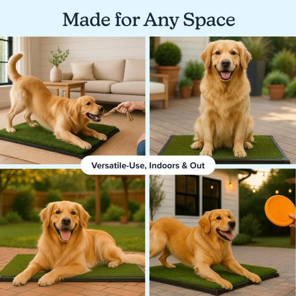 PETMAKER Artificial Grass Puppy Pee Pad for Dogs and Small Pets with Tray - 20x30 inches Washable 3-Layer Reusable Indoor Dog Potty Grass Training Pad, Easy Clean Pet Housebreaking Potty Solution - size: Large 3-Layer System