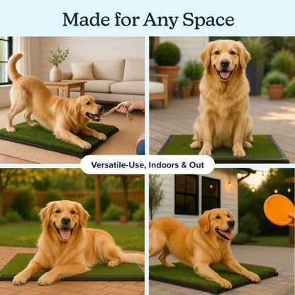 PETMAKER Artificial Grass Puppy Pee Pad for Dogs and Small Pets with Tray - 20x30 inches Washable 3-Layer Reusable Indoor Dog Potty Grass Training Pad, Easy Clean Pet Housebreaking Potty Solution - size: Large 3-Layer System