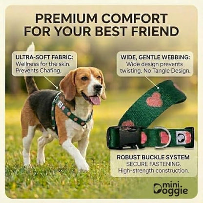 Heart Small Dog Harness – Soft Webbing, Front & Back Clip, No-Pull Design, Lightweight (Green, Medium) - color: Green, size: Medium