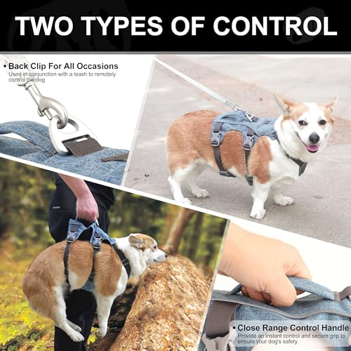 Escape Proof Dog Harness with Handle - Reflective No Pull Dog Vest, Lightweight Full Body Pet Harness Adjustable for Small Dogs Walking,Training(Blue,Chest:14-22") - color: Blue, size: XS: Chest 14-22", Fit 8-12 lbs