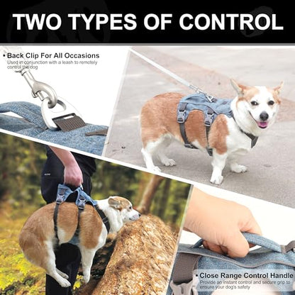 Escape Proof Dog Harness with Handle - Reflective No Pull Dog Vest, Lightweight Full Body Pet Harness Adjustable for Small Dogs Walking,Training(Blue,Chest:14-22") - color: Blue, size: XS: Chest 14-22", Fit 8-12 lbs
