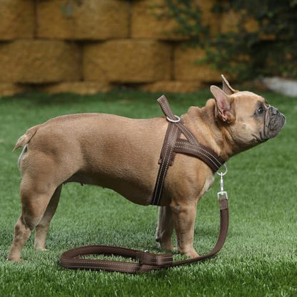 Plutus Pet No Pull Dog Harness with Breathable Mesh Padded, Adjustable Reflective Escape Proof Dog Harness, Quick Fit Dog Vest Harness for Small Medium Large Dogs(XXS, Chocolate) - color: Chocolate, size: XXS: chest 11.8"-15"