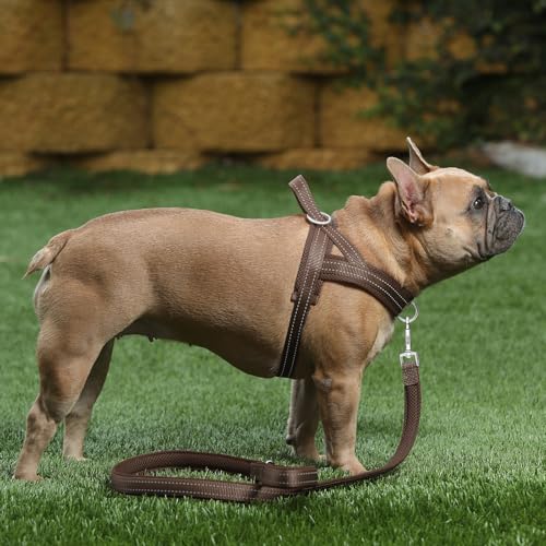 Plutus Pet No Pull Dog Harness with Breathable Mesh Padded, Adjustable Reflective Escape Proof Dog Harness, Quick Fit Dog Vest Harness for Small Medium Large Dogs(XS, Chocolate) - color: Chocolate, size: XS: chest 13.8"-17.3"