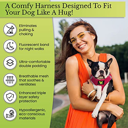 EcoBark Premium Teacup Dog Harness - Luxury Soft Tiny and Toy Breed Harness for Puppy - Mini Step in Vest Body Halter Under 5 lbs (XXXS, Mint) - color: Mint Turquoise, size: XXXS- 2 to 3 lbs- Chest up to 10 in (Pack of 1)