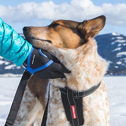 EzyDog Handy 48 Bungee Dog Leash - The Best Hands-Free Running Leash Training Lead with Superior Control and Reflective Stitching - Zero Shock Shock-Absorbing Technology (Adjustable 36” - 48”, Red) - color: Red