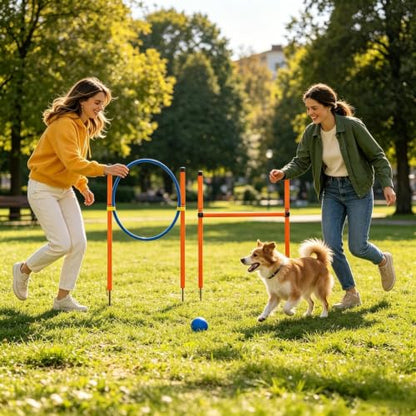 Agility Course for Dogs - Dog Agility Trainer Set with Tunnel, Interactive Training Equipment | Outdoor Exercise and Recreation Gear for Park Garden Beach Field - size: B