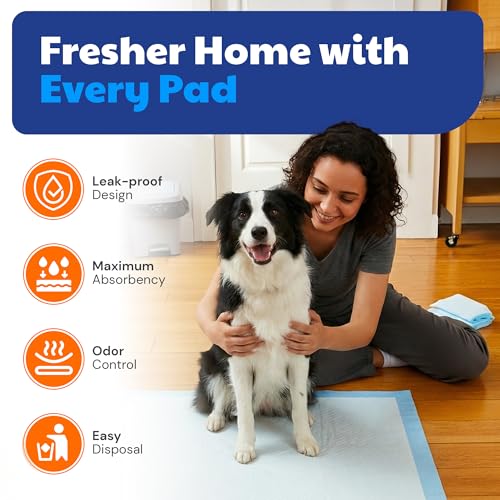 American Kennel Club Scented Puppy Training Pads with Ultra Absorbent Quick Dry Gel – 22 x 22 Pee Pads for Dogs - Fresh Scented - Pack of 100 - size: 22 x 22 - 100 Count
