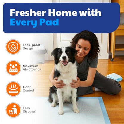 American Kennel Club Scented Puppy Training Pads with Ultra Absorbent Quick Dry Gel – 22 x 22 Pee Pads for Dogs - Fresh Scented - Pack of 100 - size: 22 x 22 - 100 Count