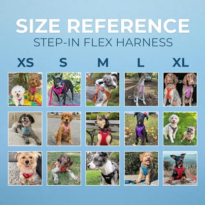 Best Pet Supplies Voyager Adjustable Step-In Flex Breathable Mesh Dog Harness for Small Medium Large Dogs (Baby Blue), XL - color: Harness (Baby Blue), size: XL