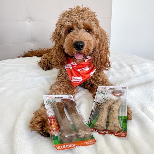 Nylabone Healthy Edibles WILD Natural Dog Chew Treats for Large Dogs, Long Lasting Dog Healthy Chew Antler Bone Made in USA, Venison Flavor, For Dogs Up to 50 lbs. (2 Count) - size: 2.8 Ounce (Pack of 1)