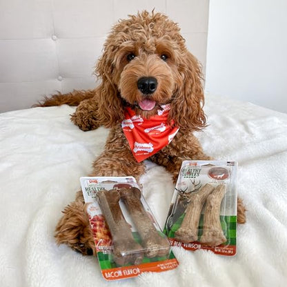 Nylabone Healthy Edibles WILD Natural Dog Chew Treats for Large Dogs, Long Lasting Dog Healthy Chew Antler Bone Made in USA, Venison Flavor, For Dogs Up to 50 lbs. (2 Count) - size: 2.8 Ounce (Pack of 1)