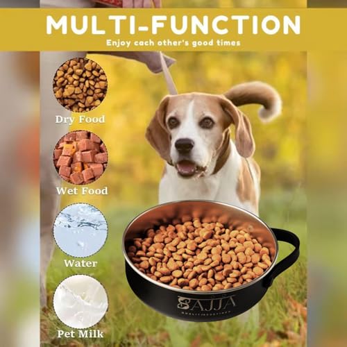 Black Collapsible Travel Dog & Cat Bowl – BPA-Free Silicone & 18/8 Stainless Steel, Portable Non-Slip Food & Water Bowl with Handle, Bottle/Poop Bag Holder – Claim Your - color: Black Bowl