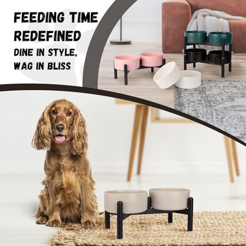 Raised Ceramic Dog Bowl Set - Elevated Double Dishes with Stainless Steel Stand - Food and Water Bowls for Small to Medium Dogs - Each Holds 3.5 Cups (29.57 fl oz) - White - color: White, size: 2 Bowls - 3.5 Cups Each