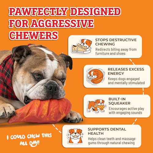 Baba Buddies 5-in-1 Turkey Leg Dog Chew Toy for Aggressive Chewers | Natural rubber & tough nylon hybrid, dental cleaning ridges, real turkey flavor. For Labrador, German Shepherd, Pit Bull