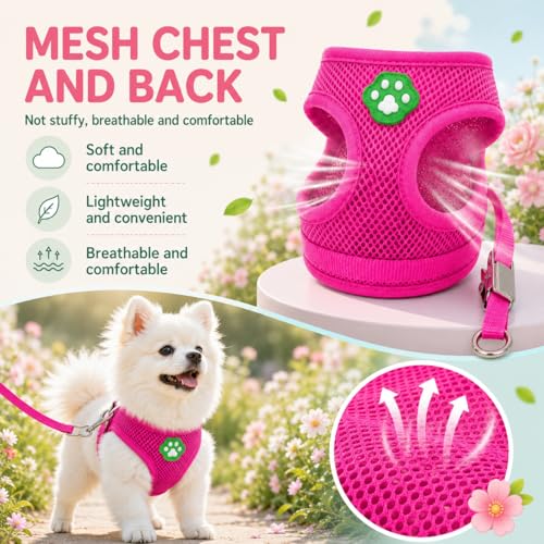 Dog Harness Small Sized and Leash Set, Step in Soft Light Puppy Vest, Breathable Mesh Pet Harness, Adjustable Pet Puppy Harness, Easy Walk Dog Harness, S: Chest 7.8-13.7" - color: Pink, size: S: Chest 7.8-13.7" Leash 3.8 FT