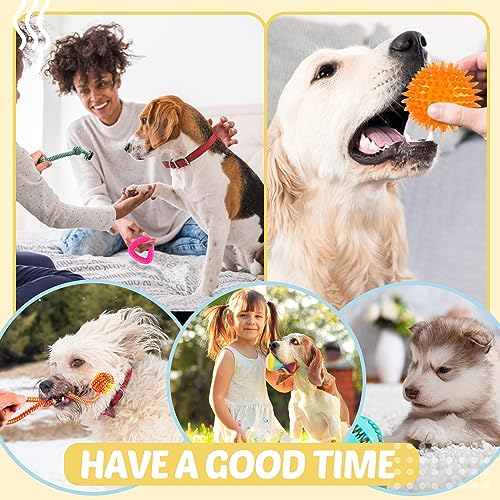 LOYEE Puppy Toys 21 Pack, Small Dog Chew Toys with Rope Toys for Teething Pet Cute Squeak Toy with Treating Ball for Puppy, Small Dogs - 21 Pack - style: 23 - Pack Fox