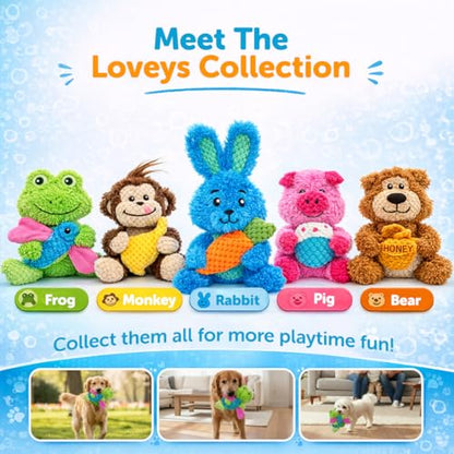 GURU Loveys Soft & Cuddly Frog Dog Toy with Removable Squeaker - Dog Toy with Multiple Textures to Stimulate Play & Engage Your Dog’s Instincts- Puzzle Dog Toy, Low-Pile & Bubble Plush - style: Frog