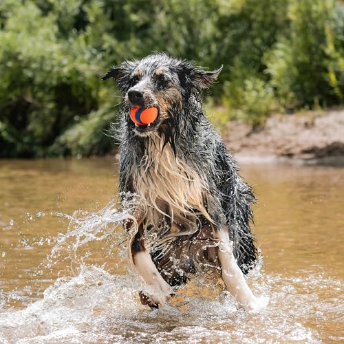 Chuckit! Ultra Ball Dog Toys - Size Large - for Dogs 60-100 lbs - Made from Durable Rubber - Super Bouncy - Day & Night Bundle - Floats in Water - 3-inch Diameter - Pack of 2 - size: Large