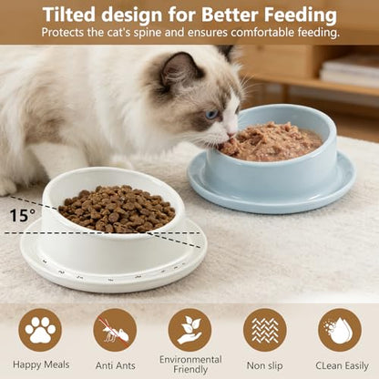 Ant Proof No Spill Ceramic Cat Food Bowls,15° Tilted Neck Support,No Spill,Non-Slip Base,Easy Clean Pet Water Dishes for Cat and Small Dog Indoor or Outdoor Use(2 Pack)