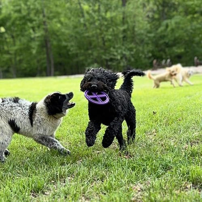 Flexible Flying Disc - Durable Floating Dog Toy for Fetch, Tug, Treat Filling, Made in USA, FDA Compliant TPE, Medium/Large Dogs, Blue - color: Blue