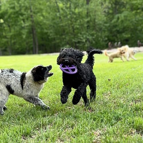 Flexible Flying Disc - Durable Floating Dog Toy for Fetch, Tug, Treat Filling, Made in USA, FDA Compliant TPE, Medium/Large Dogs, Red - color: Red