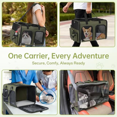Cat Carrier for 2 Cats - Double Pet Carrier Extra Large, Dual Cabin Multi Cat Travel Carrier with Removable Divider, Collapsible, Can Hold 20 30 40 lbs for Two Kitten Green 2026 Upgraded - color: Green Upgraded
