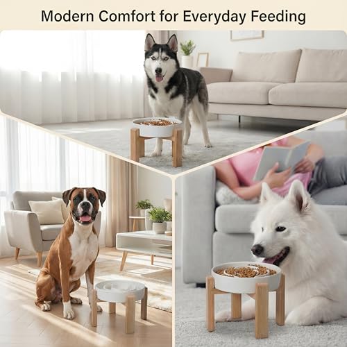Elevated Slow Feeder Dog Bowl Large Breed, 8.8 Inch Ceramic Slow Eating Bowl with Screw-Assembled Bamboo Stand, Anti-Choking Raised Maze Design for Medium to Large Dogs, 3.2 Cup, White - color: White, size: 3.2 Cup（Screw Style）