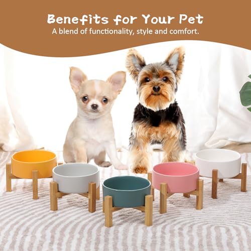 Elevated Ceramic Cat Bowl - Cat Food Bowl with Bamboo Stand - Raised Dog Dish for Puppies - Anti Vomiting, Stress Free - 13.5 oz / 400 ml - Grey - color: Grey, size: Small