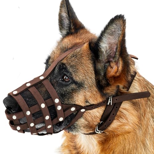 CollarDirect Dog Muzzle German Shepherd Dalmatian Doberman Setter Leather Basket Medium Large Breeds (Chestnut Brown, Medium)