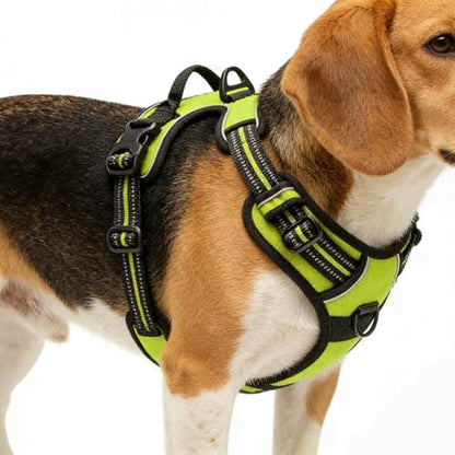 Green No-Pull Dog Harness with 2 Leash Clips，Soft Padded Vest for Medium Dog, Adjustable Reflective Dog Vest Easy to Put on and Take Off, (Neck: 14"~20", Chest: 21"~27", Green M) - color: Green, size: Medium
