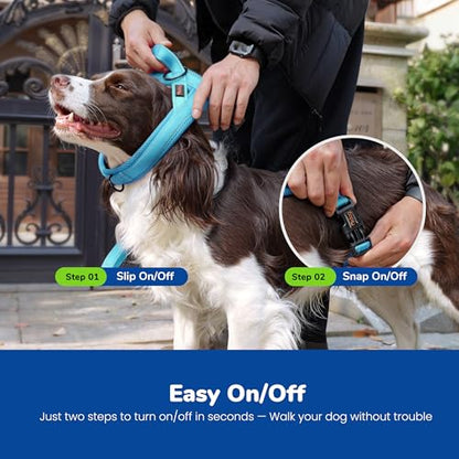 Didog No Pull Dog Harness with Breathable Mesh Padded,Reflective & Quick Fit Light Weight Dog Strap Vest Harness,Easy for Walking Training (S:Chest 18-22", Mesh-Blue) - color: Blue, size: S: Chest 18-22", Fit 19-29 lbs