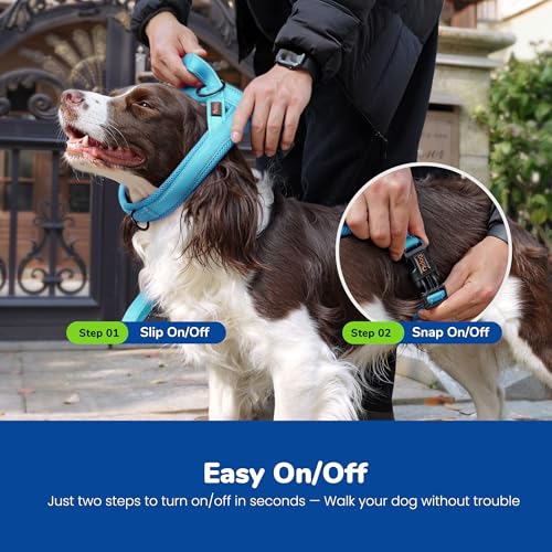 Didog No Pull Dog Harness with Breathable Mesh Padded,Reflective & Quick Fit Light Weight Dog Strap Vest Harness,Easy for Walking Training (L:Chest 26-32", Mesh-Blue) - color: Blue, size: L: Chest 26-32", Fit 50-80 lbs